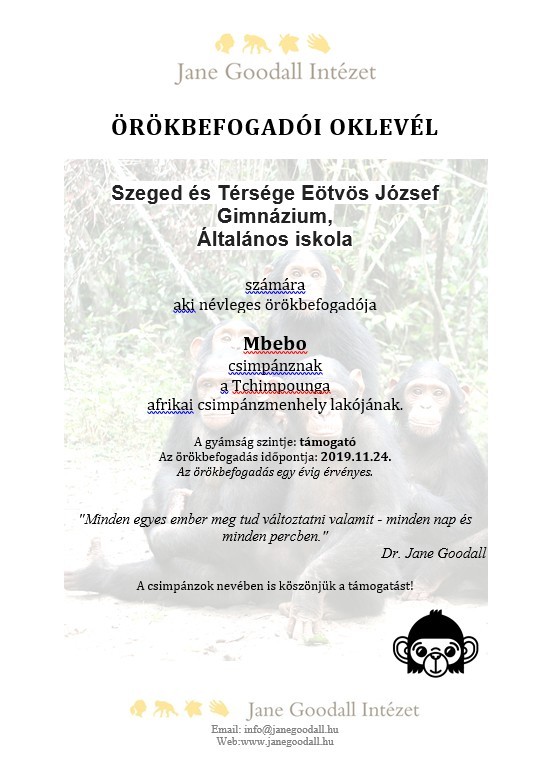 mbebo3