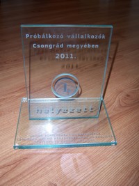 probalkozo vallakozok dij
