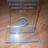 Próbálkozó vállalkozók