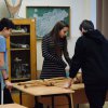Barabás Zoltán biológia verseny II. forduló